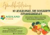 10 alkalmas KIS kosárnyi zöldségbérlet ajándékutalvány