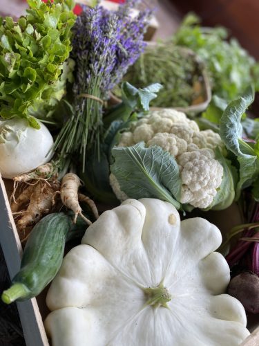 10 alkalmas KIS kosárnyi zöldségbérlet ajándékutalvány