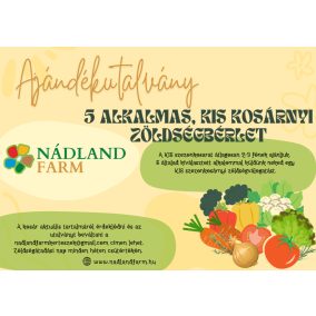 5 alkalmas KIS kosárnyi zöldségbérlet ajándákutalvány