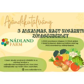   5 alkalmas NAGY kosárnyi zöldségbérlet ajándékutalvány