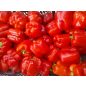 Paprika - Kaliforniai