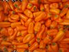 Paprika - Hamik