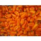 Paprika - Hamik