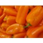 Paprika - Hamik