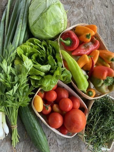 MINI TAGSÁG (17 000 Ft/ hónap)