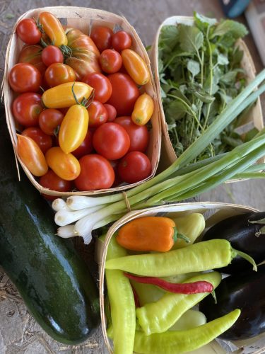 MINI TAGSÁG (17 000 Ft/ hónap)