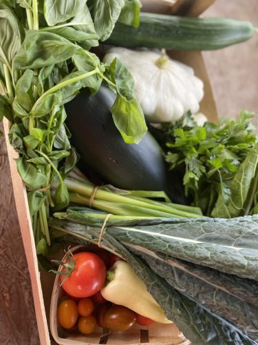 MINI TAGSÁG (17 000 Ft/ hónap)