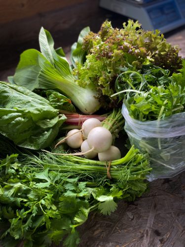 MINI TAGSÁG (17 000 Ft/ hónap)