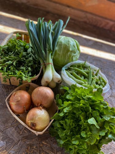 MINI TAGSÁG (17 000 Ft/ hónap)